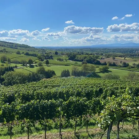 Vogesenblick Appartamento